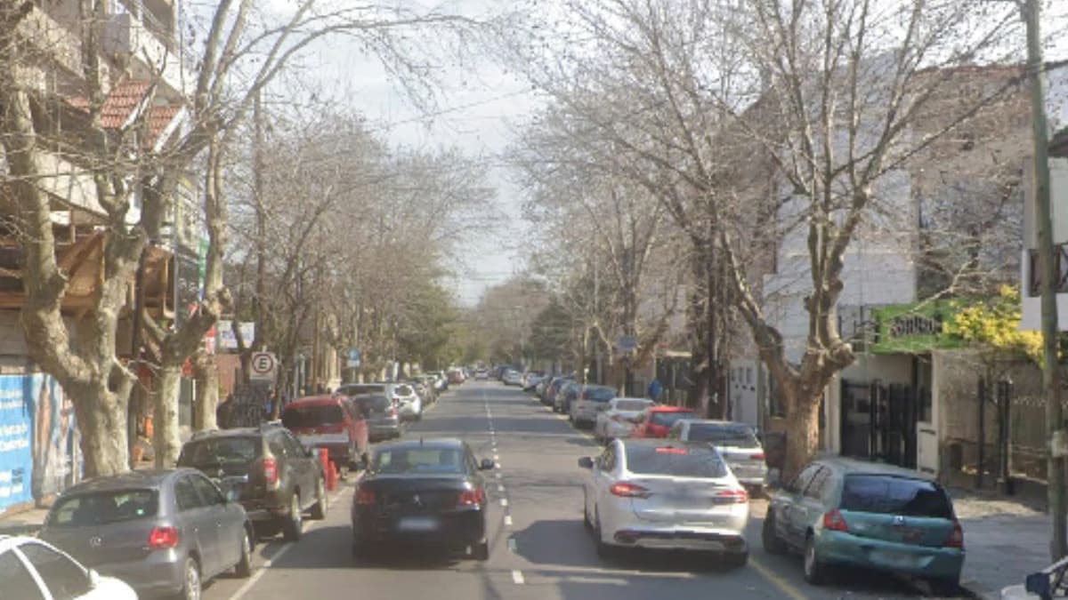 Lomas: detuvieron a un adolescente de 16 años tras el robo a un comercio en el centro - imagen de origen